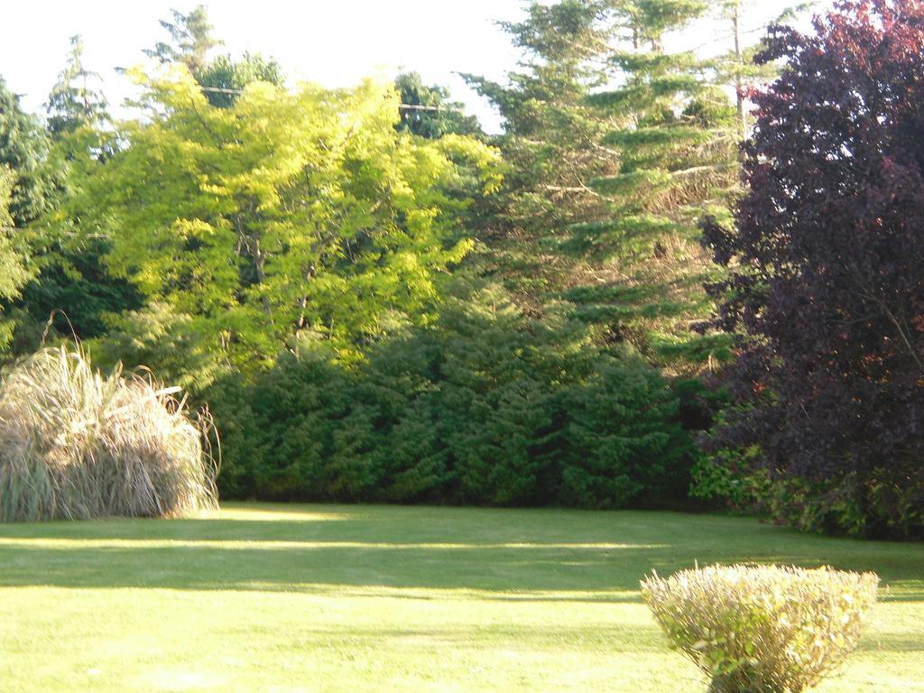 Fern Rock Bed And Breakfast Dromin Exterior foto